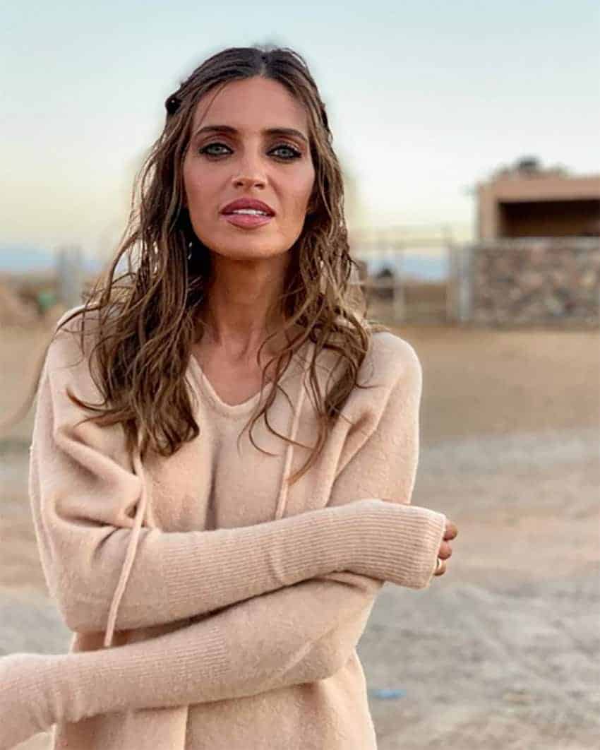 peinado de sara carbonero