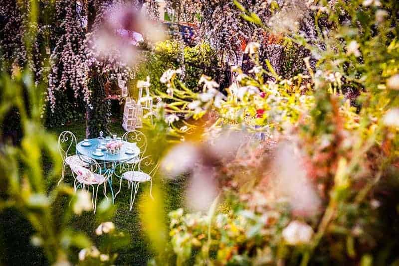 Flores para bodas de verano